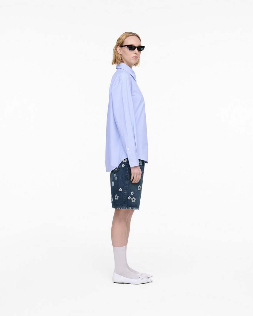 het gestreepte shirt