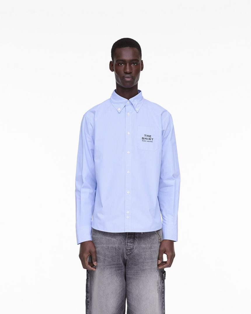 het gestreepte shirt